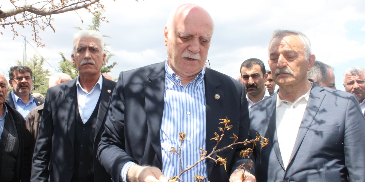 Tzob Başkanı Bayraktar: Çiftçimize Nakit Bugünlerde Lazım