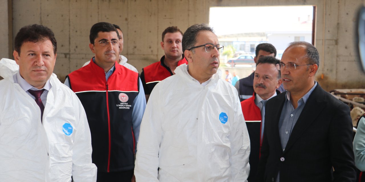 Ankara'da Besi Hayvanları, Şap Hastalığına Karşı Aşılandı