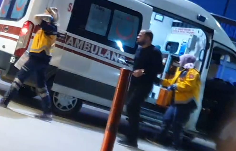 Bursa'da sokak köpeğine çarparak savrulan hafif ticari aracın sürücüsü yaralandı