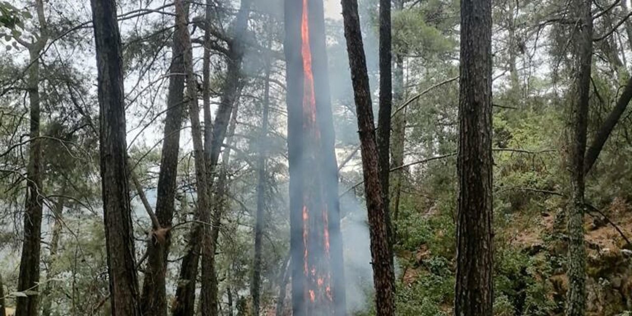 Muğla'da 1 Günde Düşen Yıldırımlar Nedeniyle 36 Yangın Çıktı