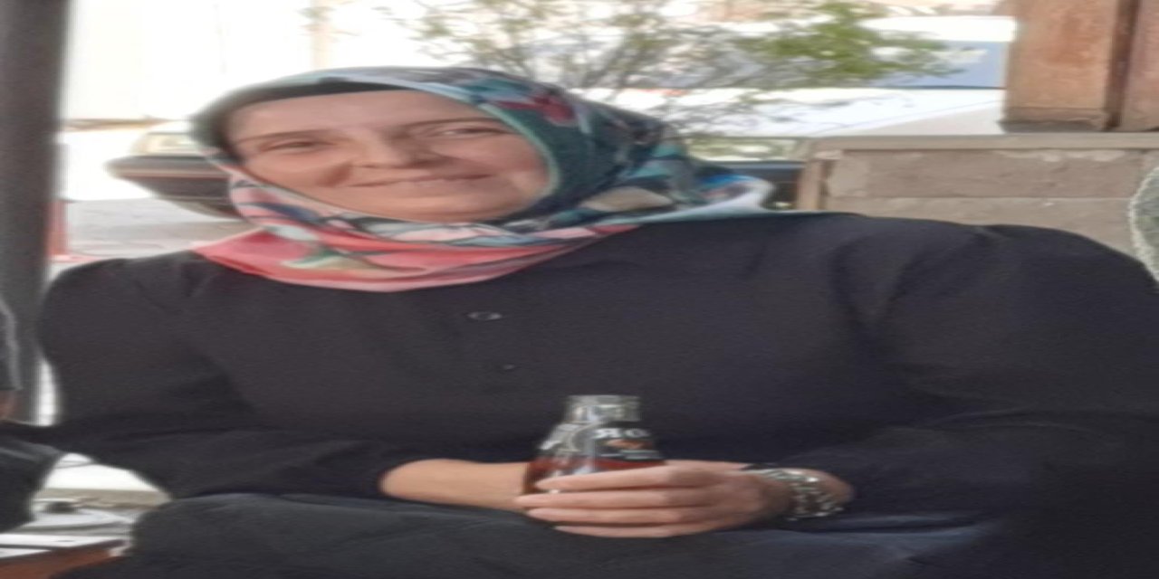 Annesini ziyarete giderken kazada öldü