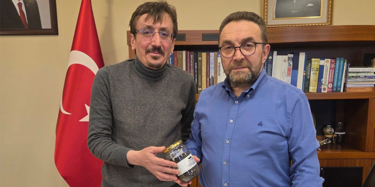 Rize'den Sağlığa Katkı: Türkiye'nin İlk Probiyotikli Çayı Geliştirildi