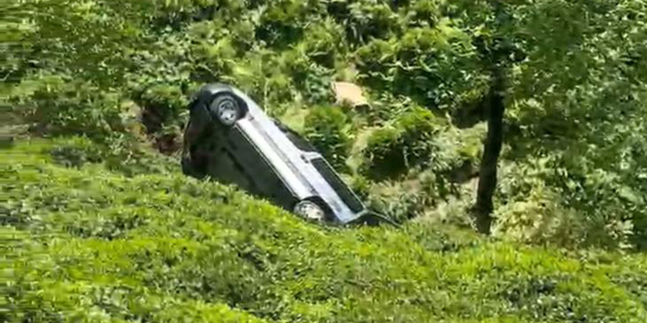 Rize'de Hafif Ticari Araç Çay Bahçesine Yuvarlandı: 2 Yaralı