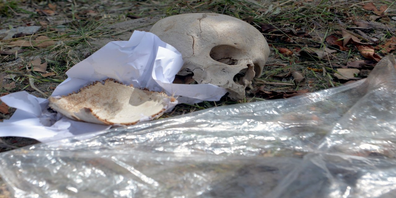 Çöpte bulunan kafatasını, uzman doktorun temizlik yapan eşi atmış