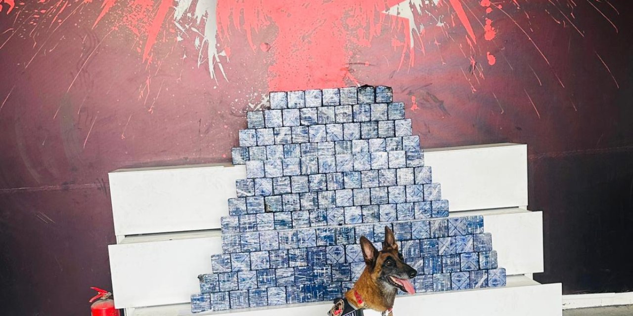 Yolcu Otobüsünde Koltukların Altına Gizlenmiş 76,5 Kilo Eroini 'Zeyna' Buldu