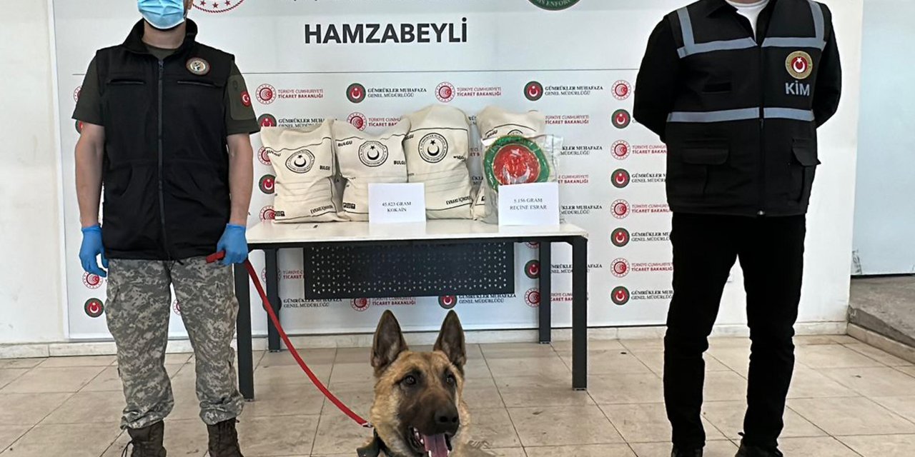 Hamzabeyli'de 50 kilo uyuşturucuyu ‘Bodri’ buldu