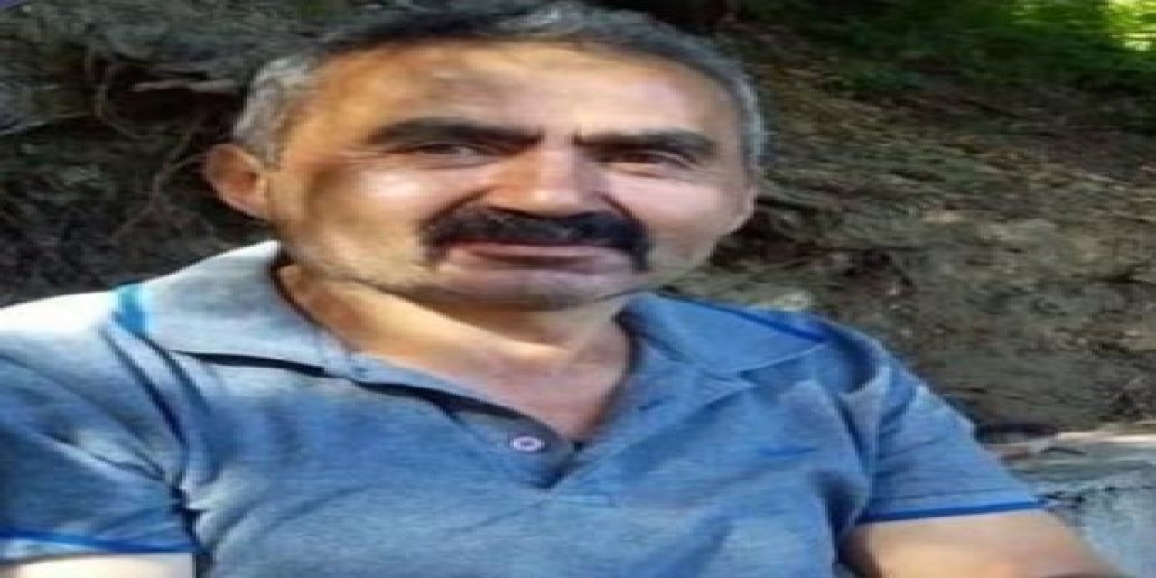 Üzerine ağaç devrilen kesim işçisi öldü