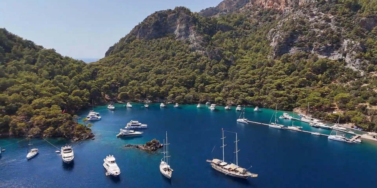 Kaplumbağalar İçin Müzik Yasağı