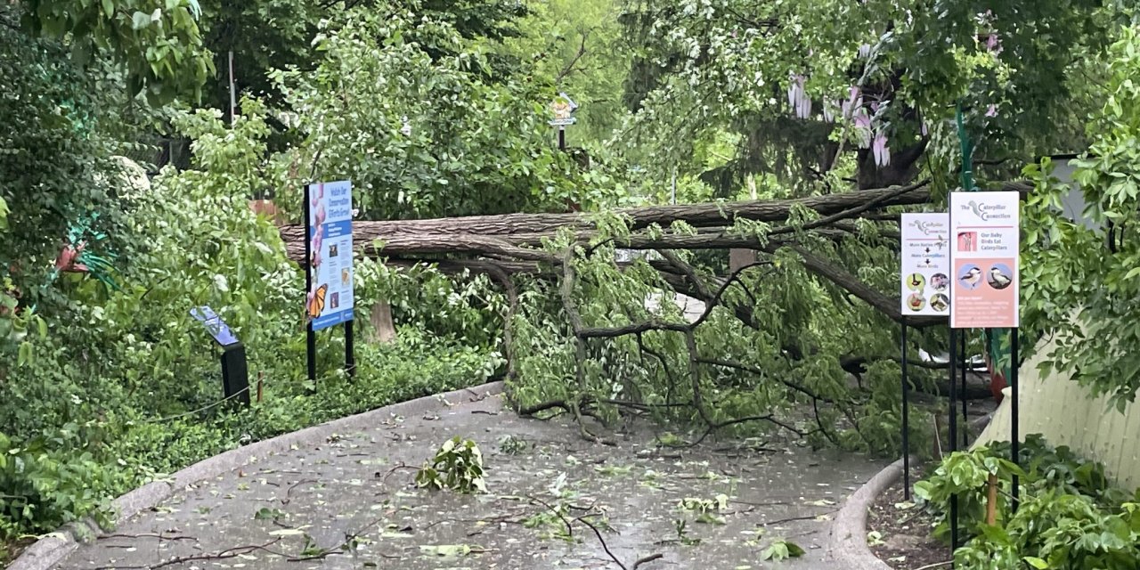 ABD’de fırtına: 5 kişi hayatını kaybetti