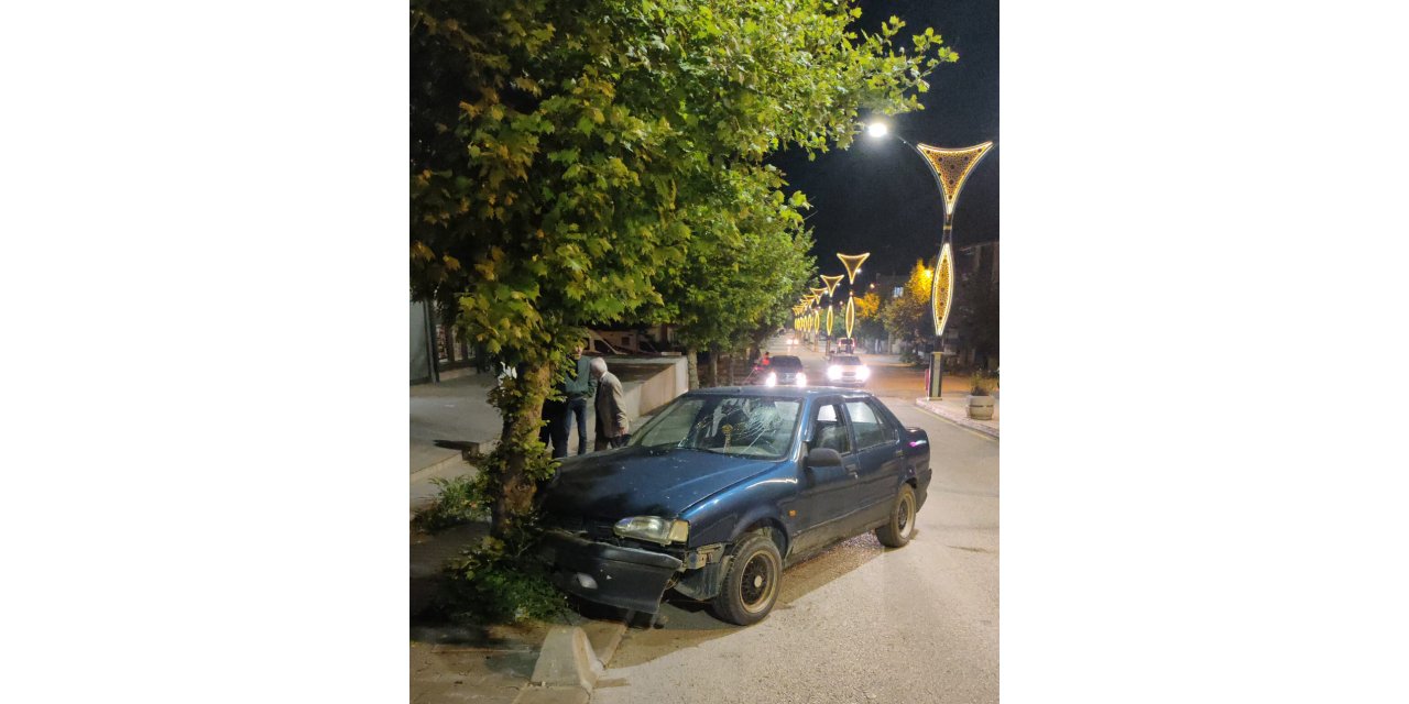 Edirne'de, ağaca çarpan otomobilin alkollü sürücüsü yaralandı