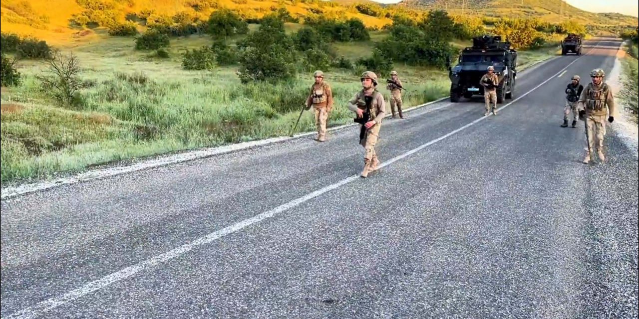 Diyarbakır'da 7 milyon 543 bin kök kenevir ve skunk ele geçirildi: 8 gözaltı