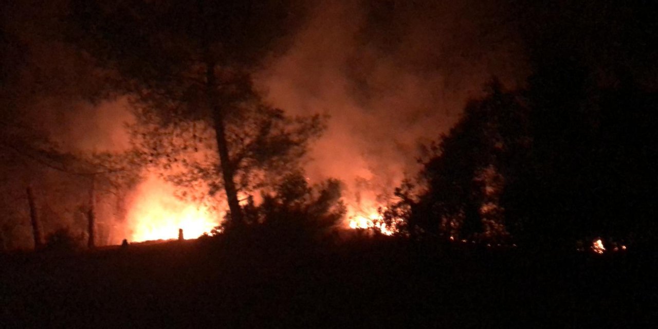 İmamoğlu'nda Çıkan Orman Yangını Söndürüldü