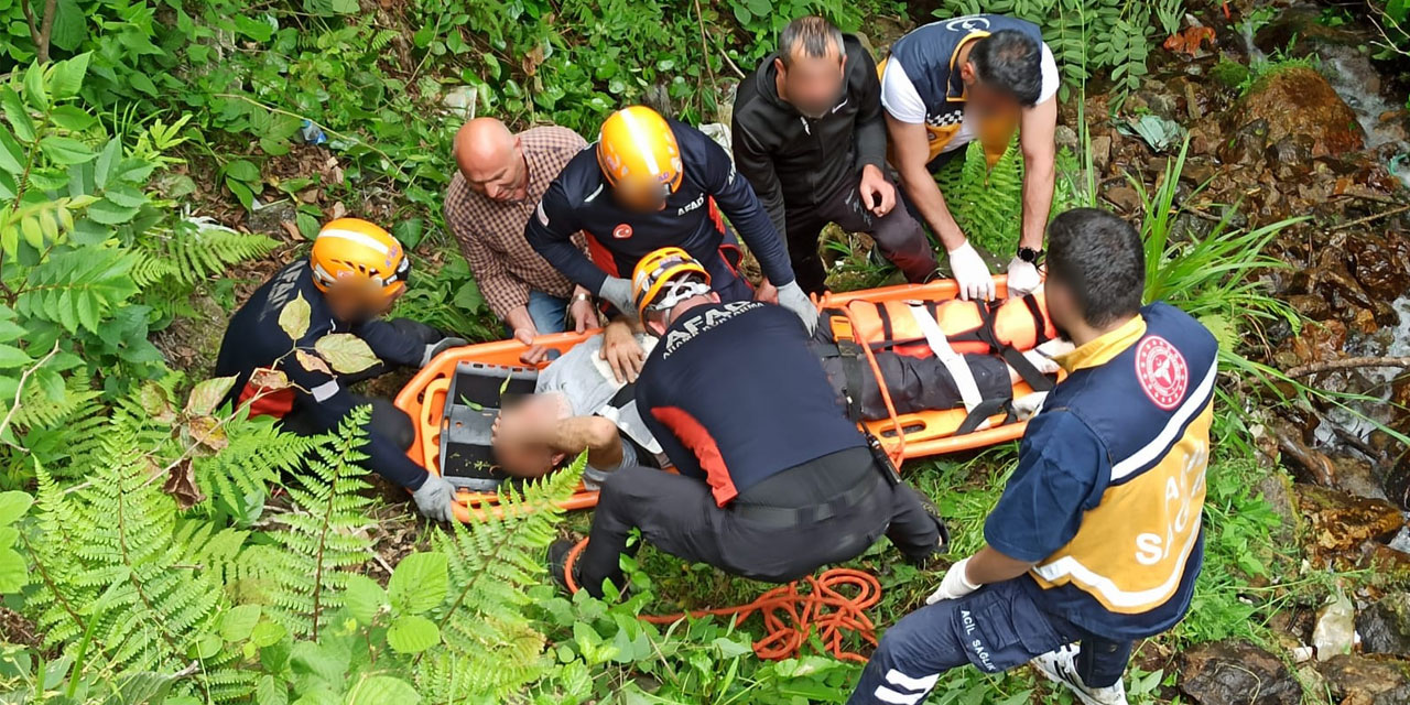 Rize’de Ağaç Keserken Yaralanan Yaşlı Adamı Ekipler Kurtardı