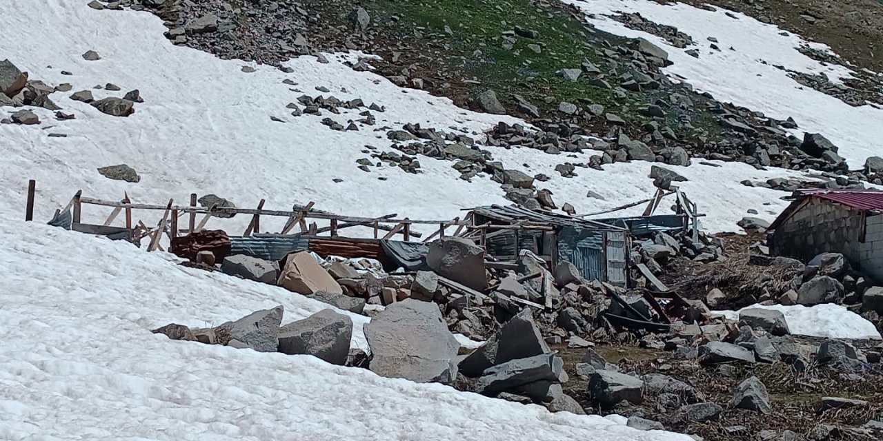 Rize Verçenik Yaylası'nda çığ ve ayı tahribatı