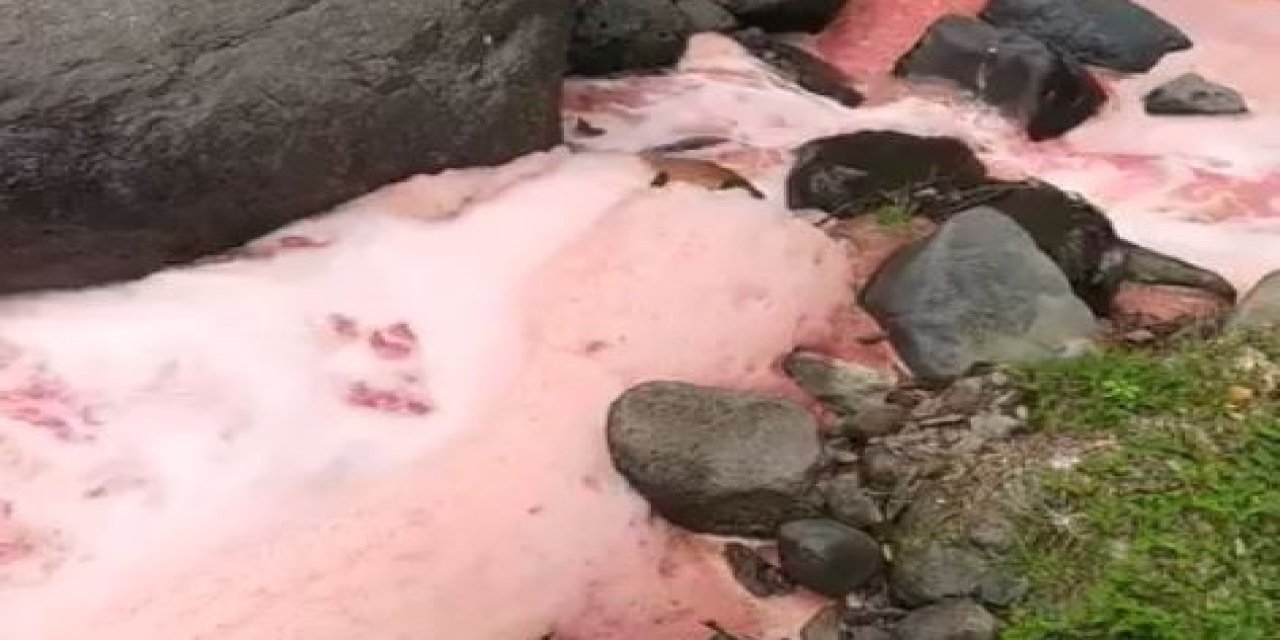 Rize'de rengi kırmızıya dönen derede inceleme