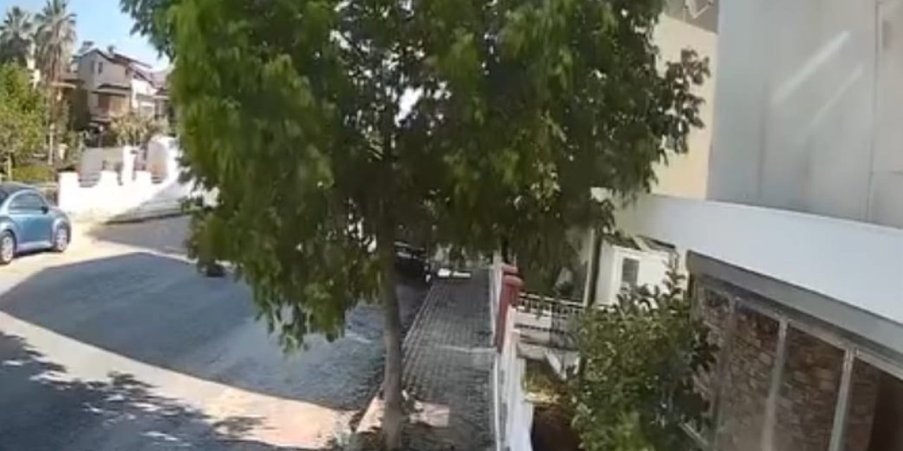 Sokakta yatan köpeği ezip yoluna devam etti; o anlar kamerada