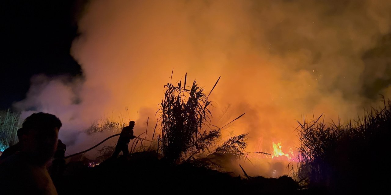 Hatay'daki sazlık yangını söndürüldü