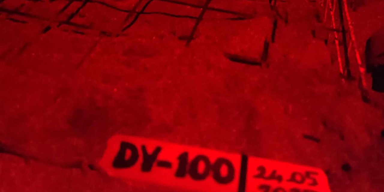 İztuzu Plajı'nda Caretta Yuva Sayısı 100'e Ulaştı