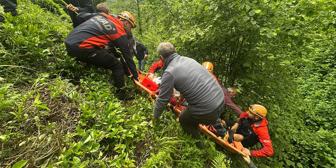 Rize'de Çay Hasadında Kaza: Dereye Yuvarlanan Vatandaş Kurtarıldı