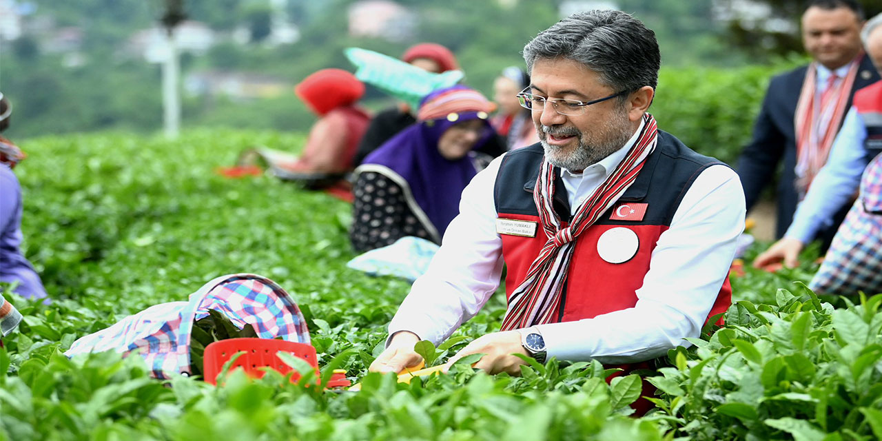 Bakan Yumaklı Rize'de ÇAYKUR'Un 1.Sürgün Kotasını Açıkladı