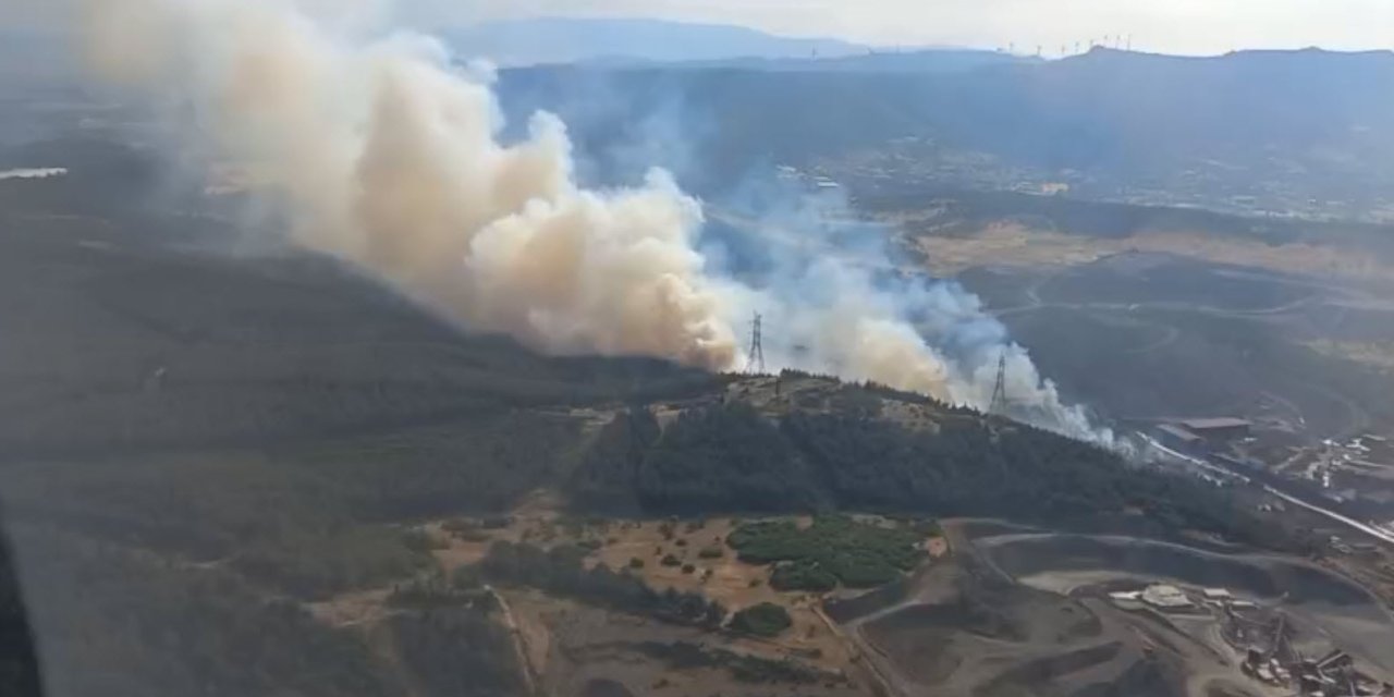 İzmir'de orman yangını
