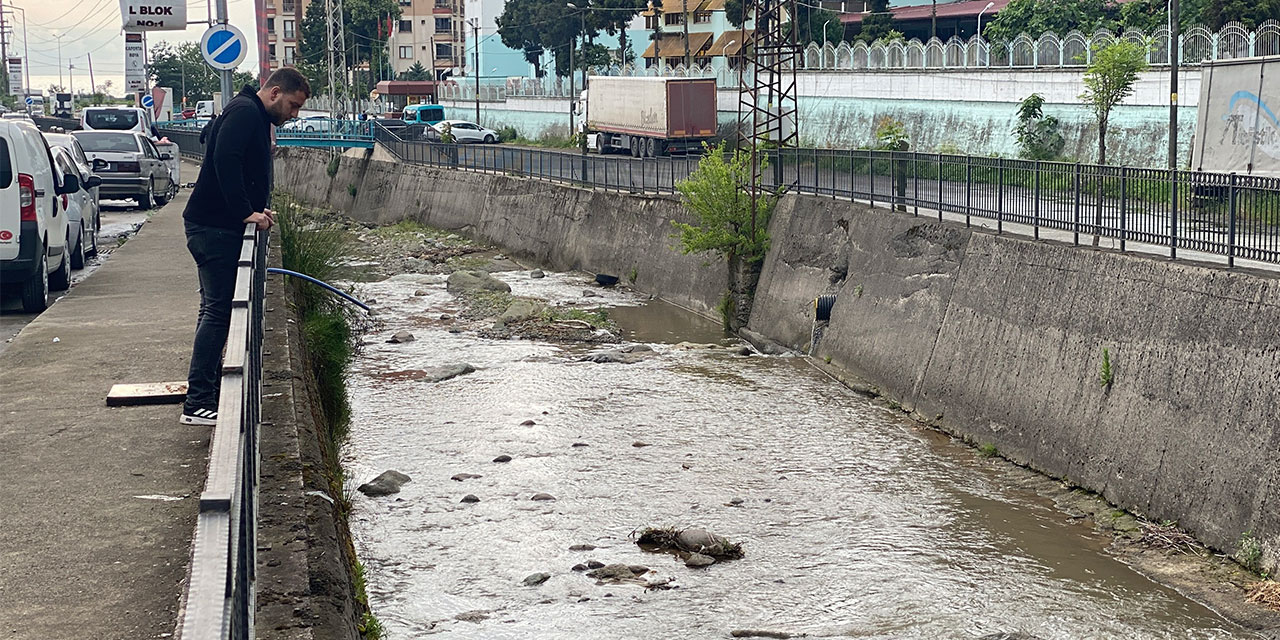 Rize’de derede balık ölümlerine inceleme