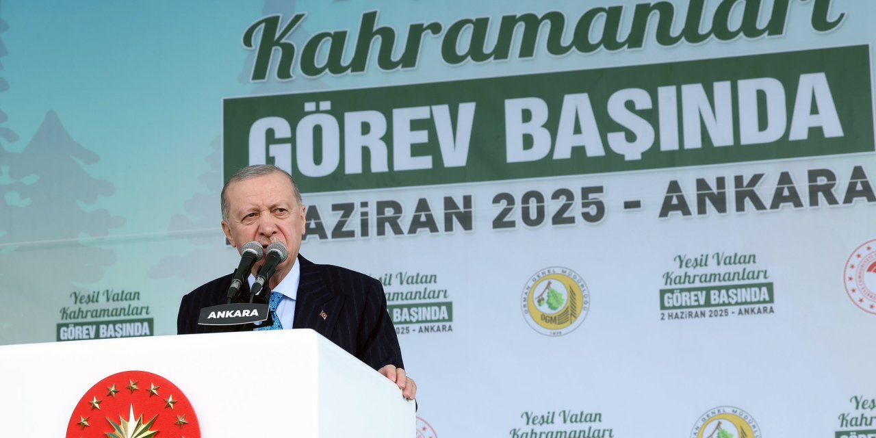 Cumhurbaşkanı Erdoğan: Yangınla mücadelede İHA kullanımında Avrupa'da birinciyiz