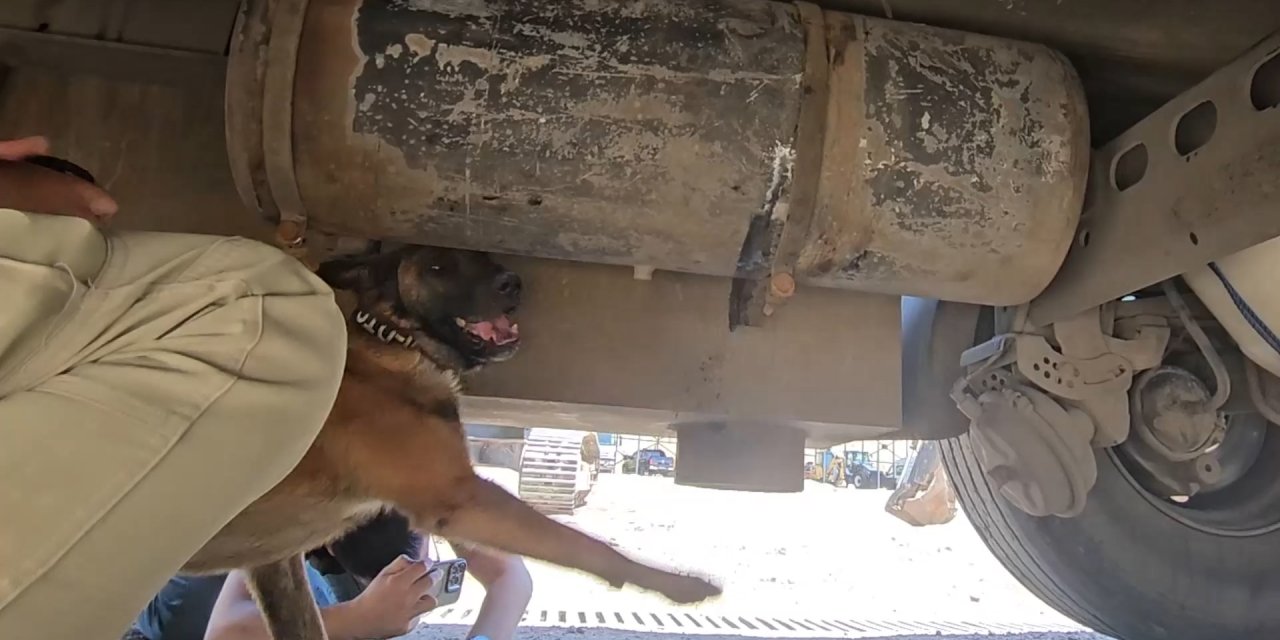 TIR'a gizlenmiş 30 kilogram uyuşturucuyu 'Hector' buldu