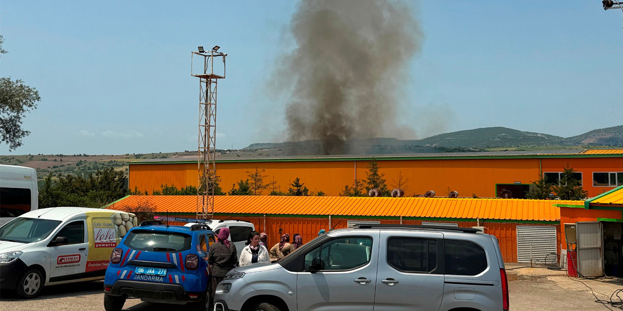 Ankara'da yumurta tesisinde yangın; 150 bin tavuk öldü
