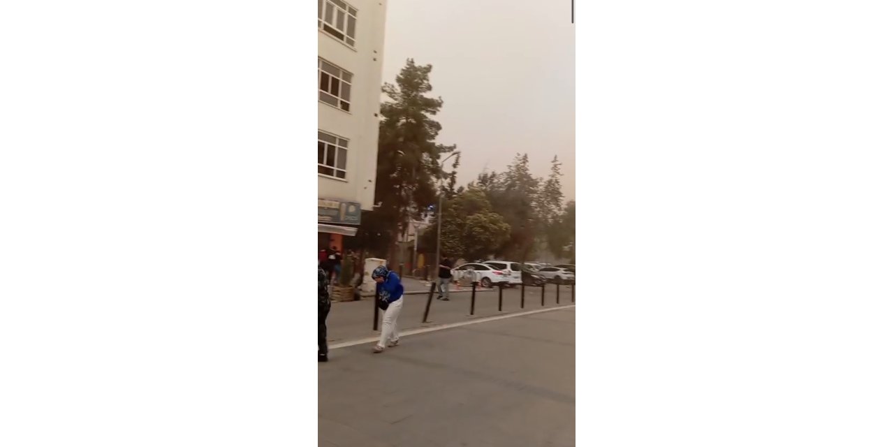 Mardin'de 350 Dönüm Buğday Ekili Alan Yandı (2)