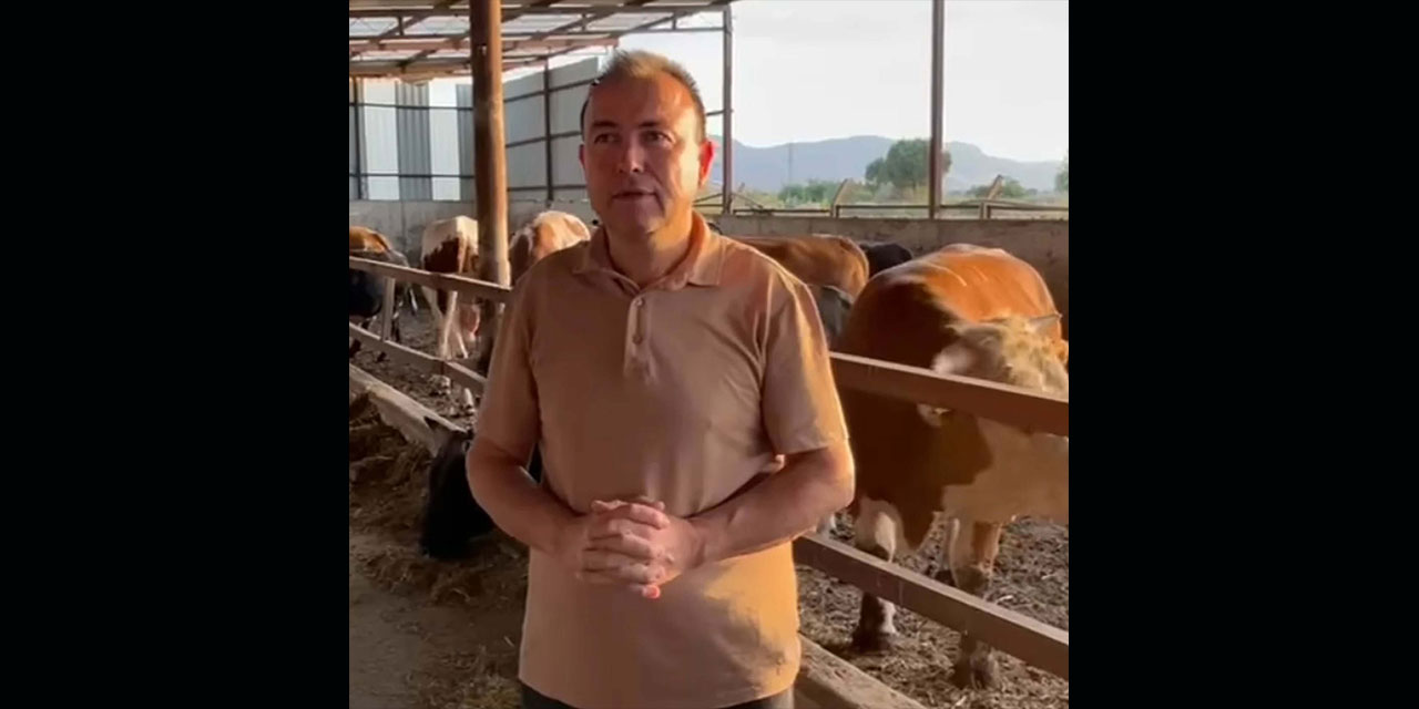 Dananın saldırısına uğrayan iş insanı, 3 gün sonra öldü