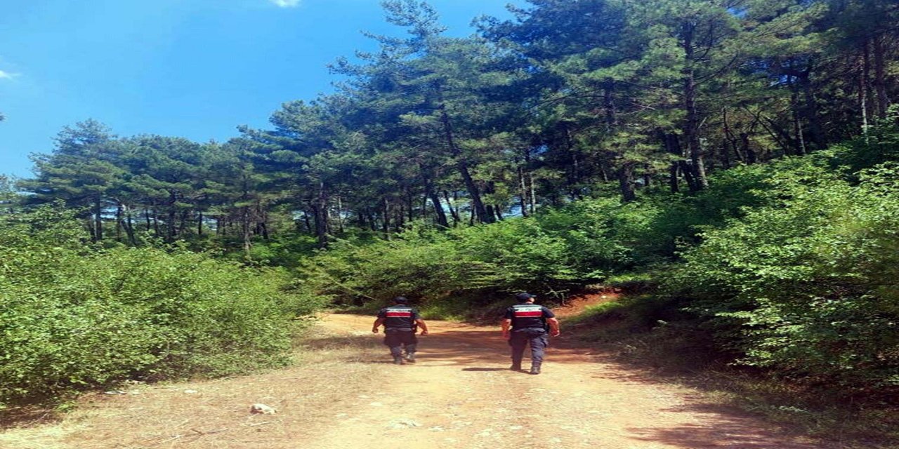 Muğla'da Ormanlara Girişler Yasaklandı