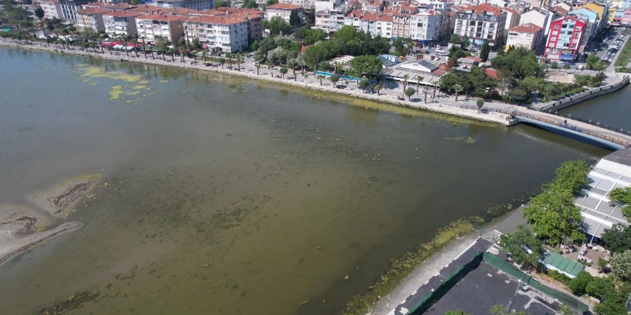 İstanbul - Silivri'de deniz yeşile büründü