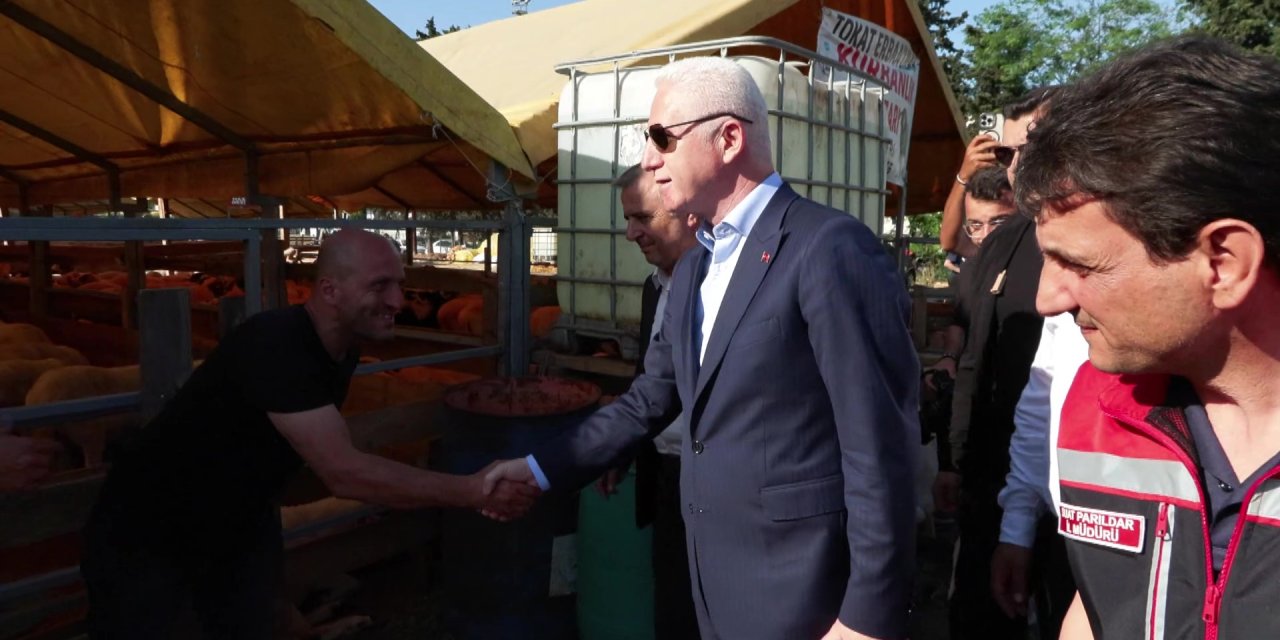 İstanbul - Hayvan pazarını ziyaret eden Vali Gül, kurban pazarlığına katıldı