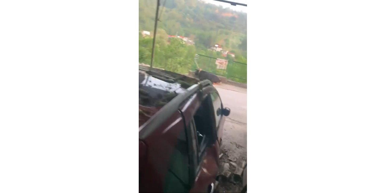 Kurbanlık Boğa Çıktığı Garaj Çatısı Çökünce Otomobilin Üzerine Düştü