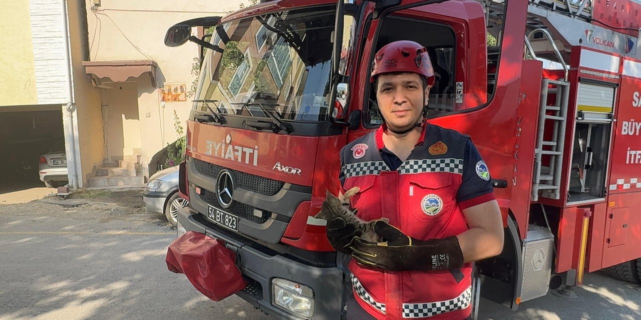 Ağaçta İki Gün Mahsur Kalan Kedi Yavrusunu İtfaiye Ekipleri Kurtardı