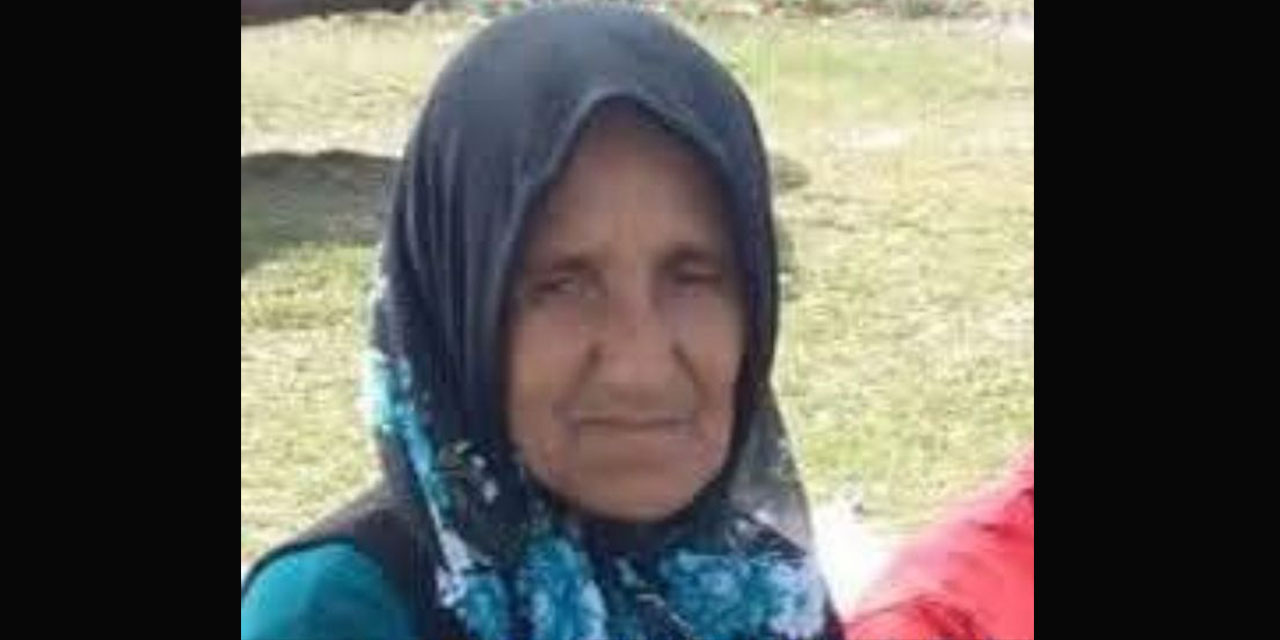 Ordu'da, hafriyat kamyonunun çarptığı yaya öldü