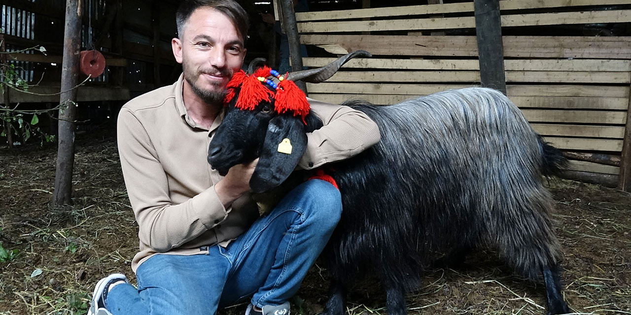 Keçi inadı, Şanslı’yı hayatta tuttu; kurbanlığını kesmeye kıyamadı