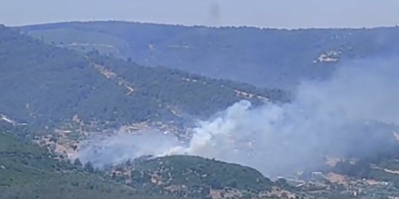 İzmir'de orman yangını