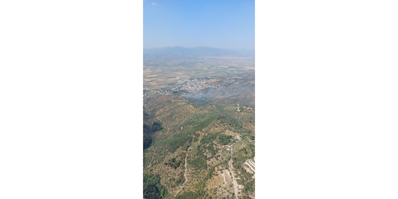 Aydın'da, tarım arazisindeki yangın 1,5 saatte söndürüldü