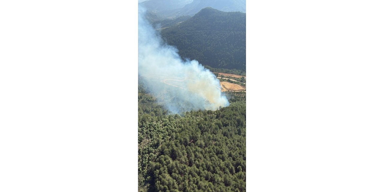 Balıkesir'de orman yangını