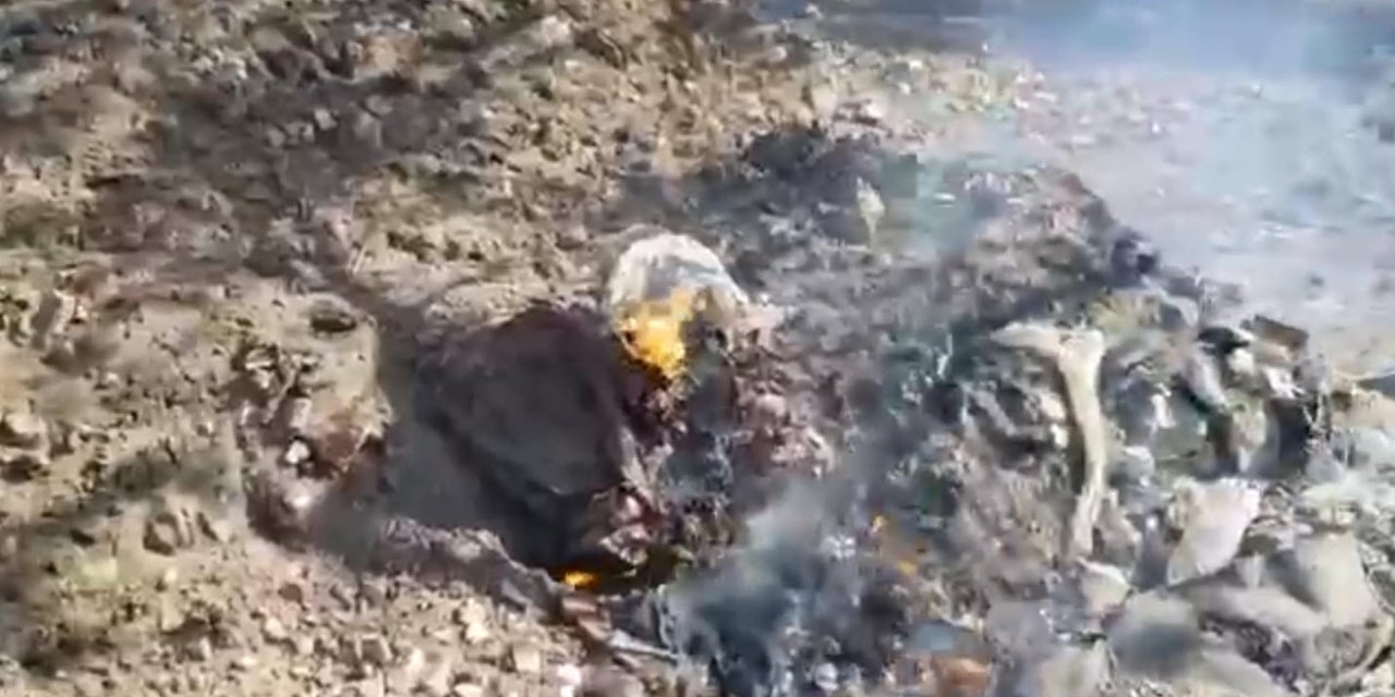 Edremit'te çöplükteki yangın, tarım arazisine sıçradı; söndürüldü