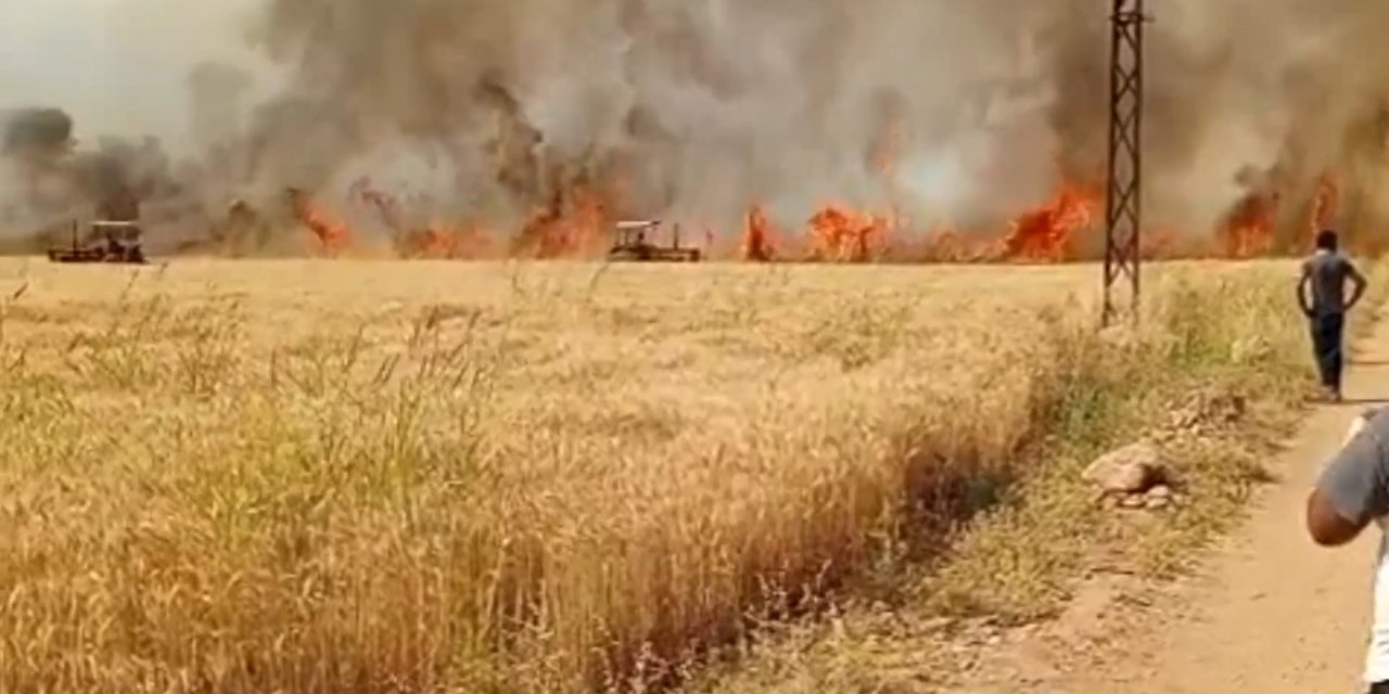 Şanlıurfa'da 40 dönüm ekili buğday yandı
