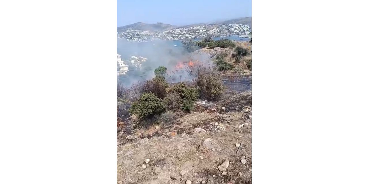 Bodrum'da maki yangını