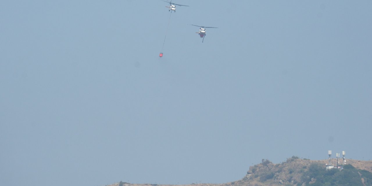 Bodrum'da maki yangını (2)