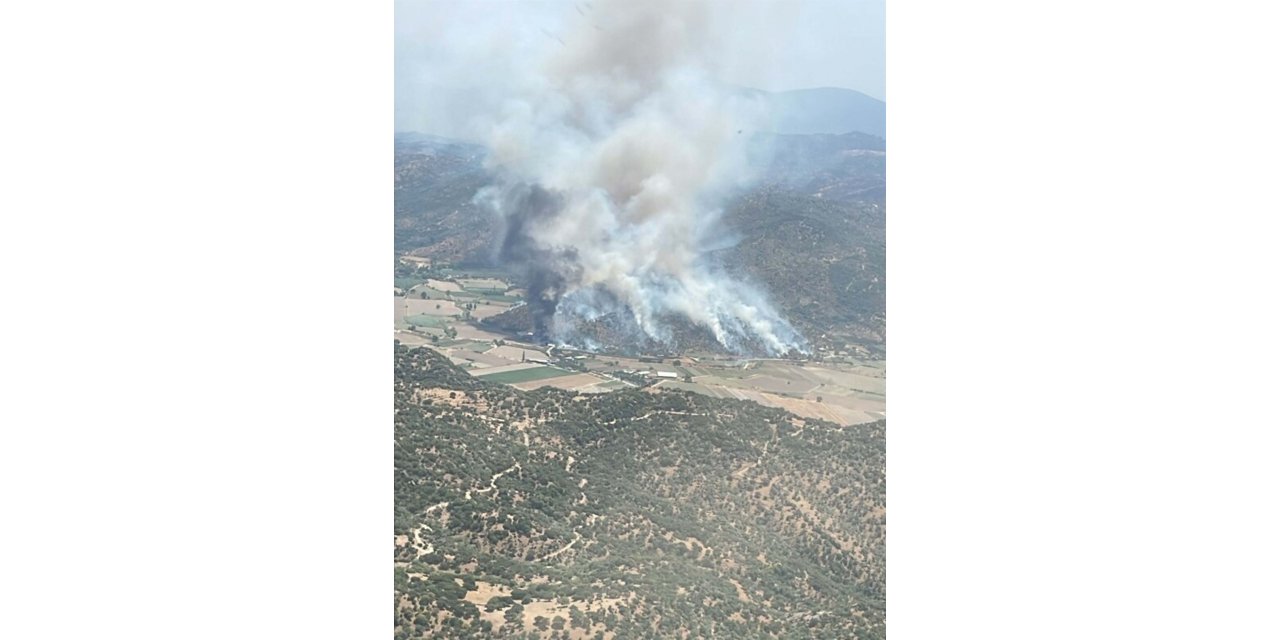 Aydın’da tarım arazisinde yangın