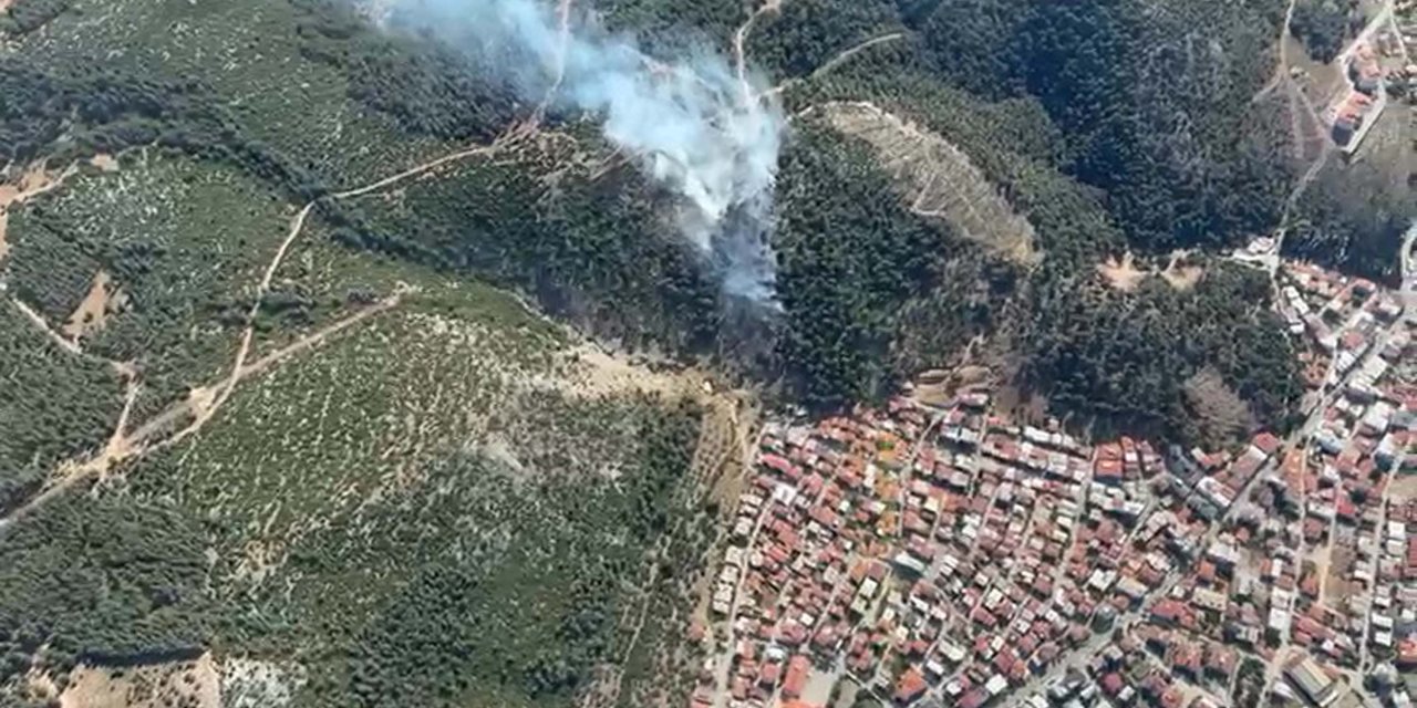 Manisa'da orman yangını (2)