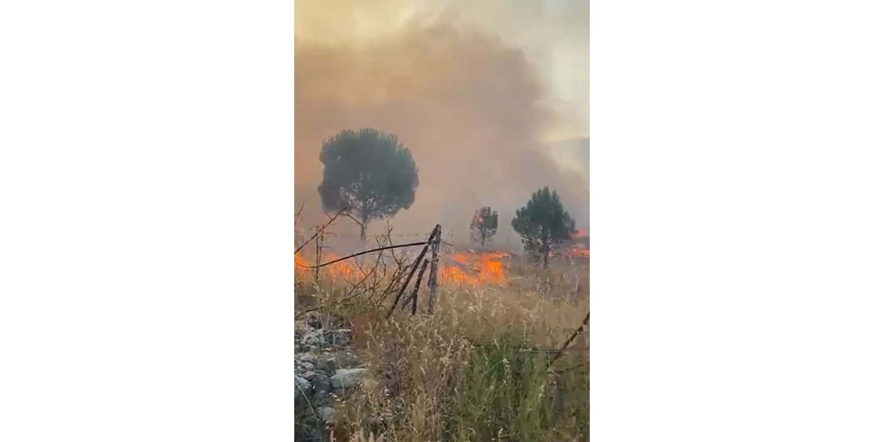 Balıkesir'de örtü yangını