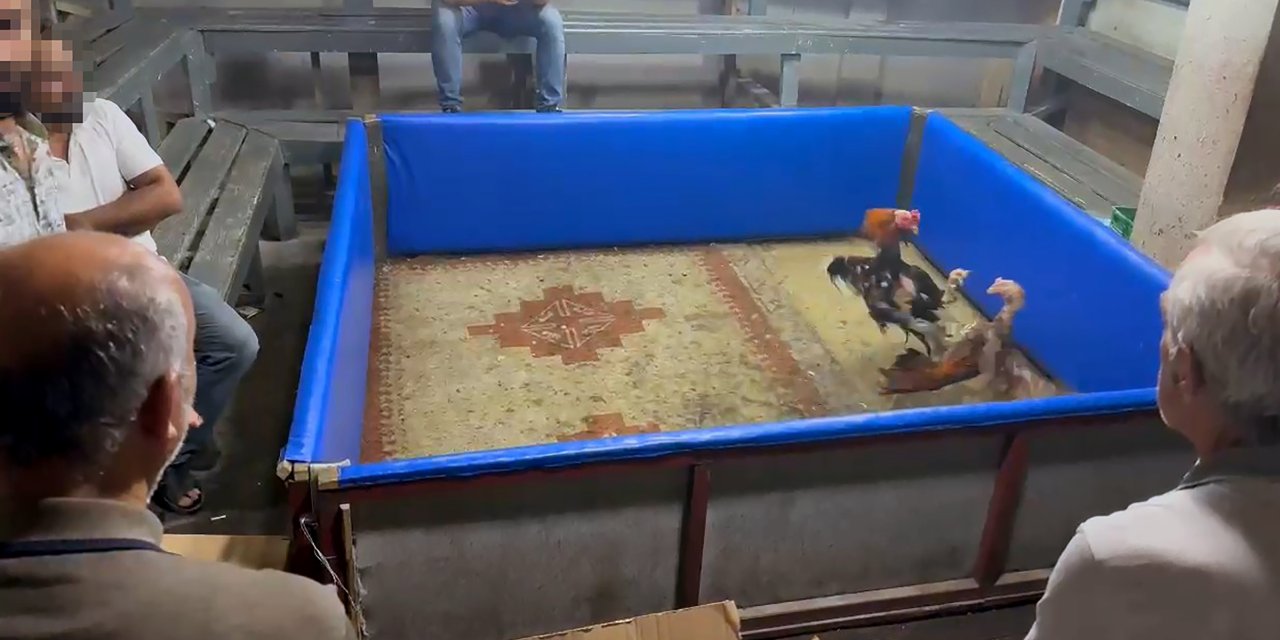 Adana'da horoz dövüştürenlere suçüstü