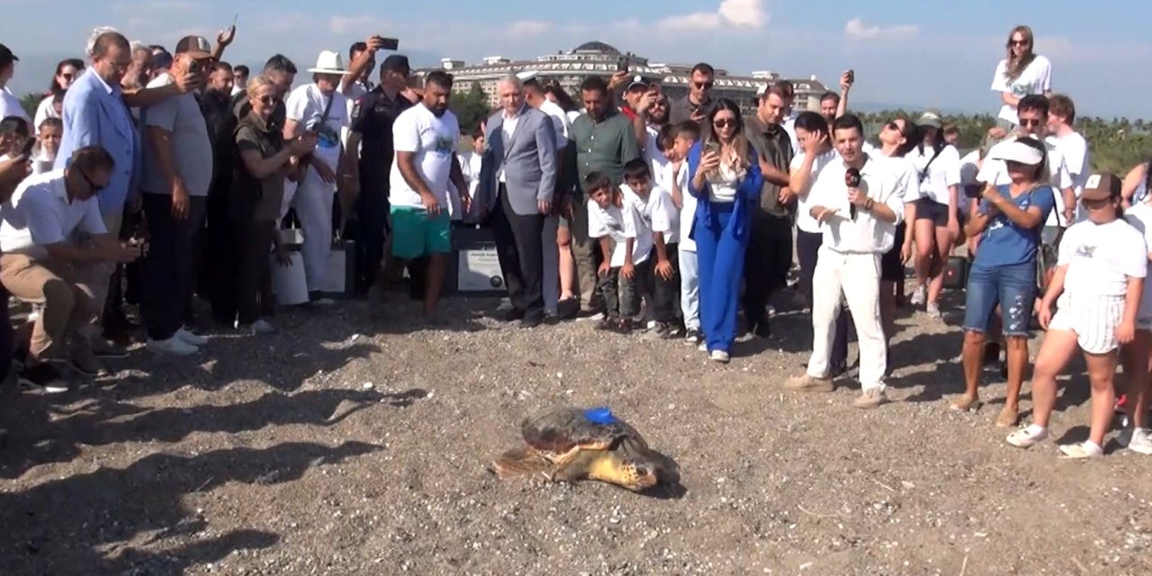 Uydu İzleme Cihazı Takılan 2 Deniz Kaplumbağası Denize Salındı
